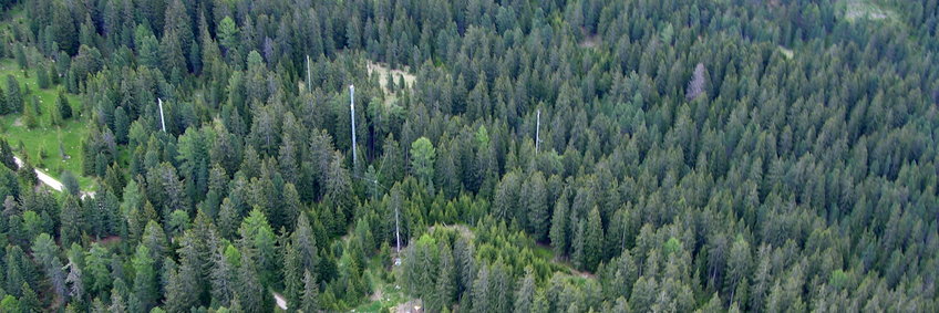 Luftbild des Fichtenwaldes bei Renon, man sieht den eigentlichen Messturm, umringt von 4 Zusatztürmen, welche der Messung der Advektion dienten
