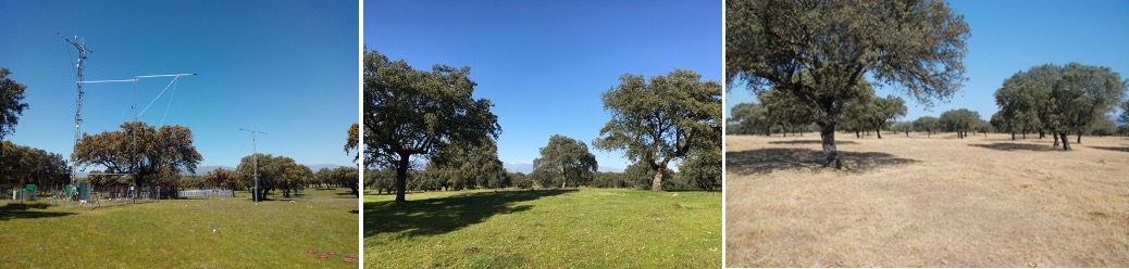 Left: Rotating radiation and flux towers at the study area (photo credit: CEAM); Middle: The study site in spring; Right: The study site in summer.