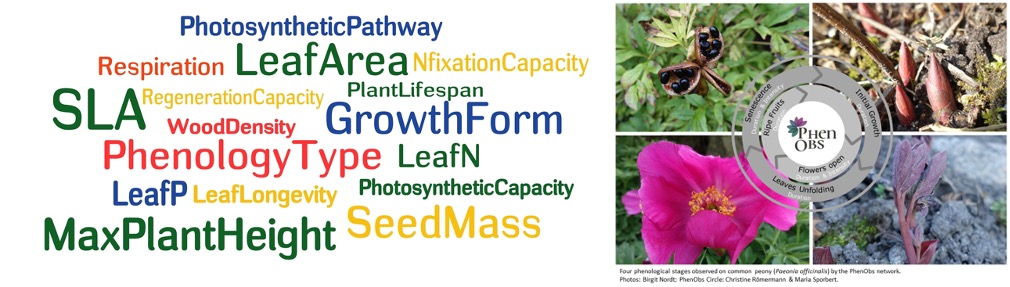 Left: Measurement sites and traits included in the TRY database (<a href="https://www.try-db.org">www.try-db.org</a>); Right: Shifts of phenological events in plant species
(<a href="https://www.idiv.de/en/phenobs">www.idiv.de/en/phenobs</a>)