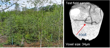 Left: Test field site at the former uranium mining site Kanigsberg for investigation of metal distribution in the environment; Right: Visualization of hyphae in a soil core.