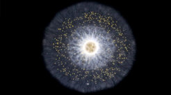Rhizaria algae. Fossil fat molecules apparently originate from these unicellular organisms and are no indication of the formation of animal organisms.