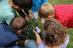 Plant identification " children's easy" with the Flora Incognita App (in summer 2019).