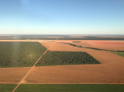 Landwirtschaft auf dem Vormarsch: Am Rand des Amazonasbeckens müssen große Teile des Waldes Ackerflächen weichen. Das lokale Klima wurde dadurch trockener und heißer, obwohl der verbliebene Wald noch kühlend wirkt und für Regen sorgt.