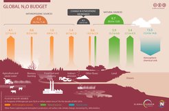 Globales Lachgas-Budget im Zeitraum zwischen 2007 und 2016. Die farbigen Pfeile stellen die Lachgasflüsse (in Teragramm Stickstoff pro Jahr) dar. Gelb: Emissionen aus anthropogenen Quellen (von links: Landwirtschaft und Abwasser, Biomasseverbrennung, fossile Brennstoffe und Industrie sowie indirekte Emissionen); grün: Emissionen aus natürlichen Quellen( von links: Landmassen, Ozeane); blau: Menge des Lachgases, das der Atmosphäre durch chemische Prozesse entzogen wird.