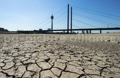 Brücke ohne Fluss: Während der Trockenheit im Jahr 2018 sank der Wasserstand vieler Gewässer wie etwa des Rheins drastisch. Wie hier bei Düsseldorf beeinträchtigte das auch die Binnenschifffahrt stark.