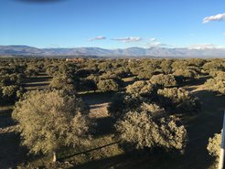 Blick auf das Versuchsgebiet in Majadas, Spanien