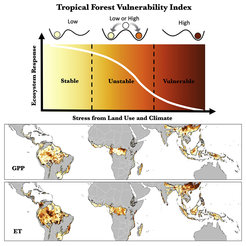 Tropical forest vulnerability