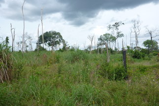 Kohlenstoff- und Wasserkreislauf in einem sich verändernden Amazonasgebiet
