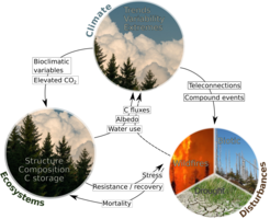 Diagram with climate, ecosystems, and disturbance interactions.
Circular diagram illustrating relationships between climate, ecosystems, and disturbances like wildfires and drought.
Diagram depicting the interactions between climate trends, ecosystem structure, and disturbances, highlighting factors like bioclimatic variables, carbon fluxes, and stress recovery mechanisms.