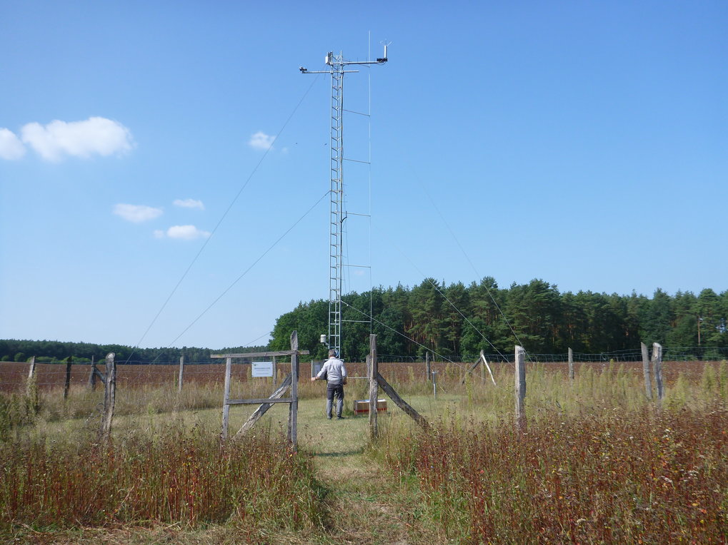 Wetterstation in Linde, ca 10 m hoher Mast mit Meteorologie-Sensoren entsprechend den Richtlininien des Deuteschen Wetterdienstes (DWD) an einem Sonnigen Tag im September, blauer Himmel mit rot-brauner Wiesenvegetation und Mast, mit abgewandter Person die vor dem Schaltschrank steht, in der Mitte