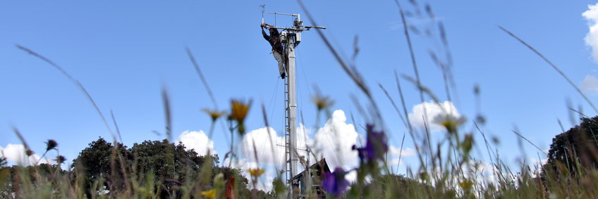 Aufnahme vom Boden einer blühenden Wiese in einem beweideten Steineichenhain (Dehesa) in Spanien, nahe der Stadt Albuera. In der Mitte des Bildes arbeitet T.-S. El-Madany auf der Spitze des mobilen Turmes, um eine Wartung an der Eddy-Covarianz-Messeinrichtung durchzuführen. Im Hintergrund Steineichen und vereinzelte weiße Wolken vor hellblauem Himmel.