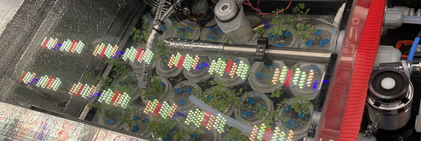 Kleiner Mesokosmos - Kammer mit kontrollierten Umweltbedingen wie Boden, Licht, Luftgemisch, Temperatur und Feuchte. In der durchsichtigen Plexiglaskammer wachsen Arabidopsis-Pflanzen, die oberirdisch und unterirdisch getrenn sind. Auf dem durchsichtigen Kammerdeckel, durch den man die kleinen Pflänzchen sieht, spiegeln sich die viele LEDs in rot grün und blau. Am rechten Rand sieht man Stopfbuchsverschraubungen, durch welche  Sensoren und Gaszuleitung hindurchgehen. Am rechten unteren Bildrand ist einen Strahlungssensor, eine kleine weiße Scheibe auf einer schwarzenScheibe, das Ganze ist auf einem Edelstahlzylinder zu sehen. Am linken und unteren Rand sieht man silbern beklebtes Isolationsmaterial, welches die Temperierung der Kammer gewährleistet.
© K. Kübler/ BGC