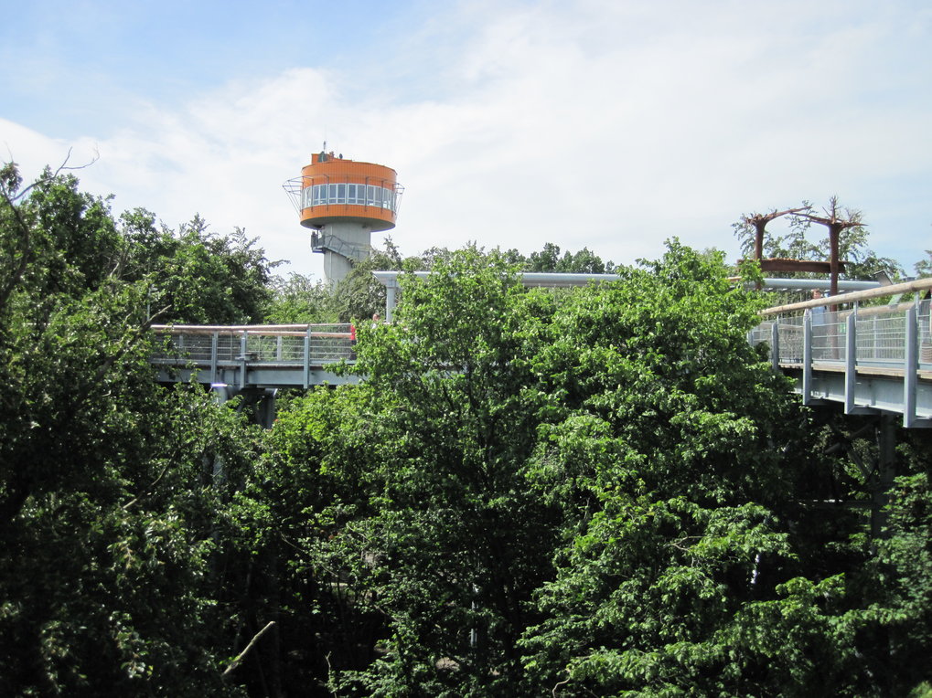 Hainich Baumkronenpfad
