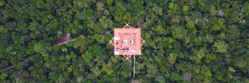Blick von oben auf die Spitze des großen ATTO-Turms, der sich als orangefarbenes Quadrat von den grünen Baumwipfeln weit unten abhebt. Diagonal verlaufen die Abspannseile vom Turm in den Wald.
