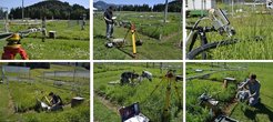 Impressions from the field