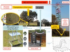 Experimental facilities and instruments installed in the „WET“ cluster. Picture lysimiter (http://www.ugt-online.de/en/produkte/lysimetertechnik/lysimeter.html). Picture spectral signatures (Rossini et al., 2011).