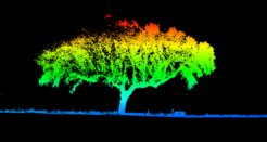 Lidar scanning of the trees