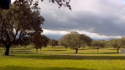 Dehesa in Spring and Summer 2015