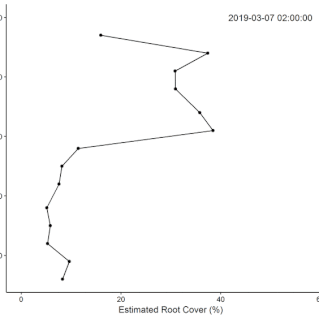 Interpreted root growth in our mesocosm experiment using computer vision methodology (for a single mesocosm). We witheld water in April which causes the decline in shallow soil