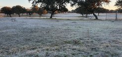 A wintermorning in Majadas