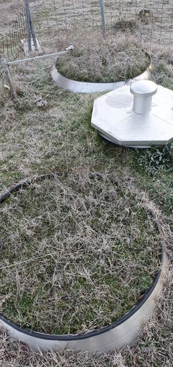 Hoarfrost on the lysimeter