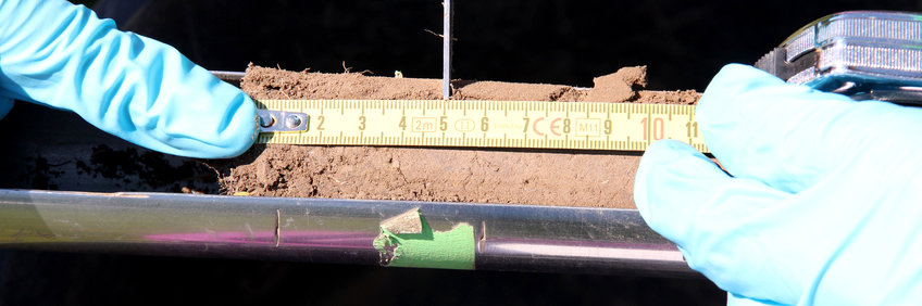 Soil sample from the Jena experiment. The soil cores are examined at their various depths for their carbon content and chemical composition. (© S. Héjja/MPI-BGC)