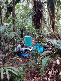 The shady forest floor is covered with leaves. Around it, alternating tree trunks and palm leaves rise up. In the center, a woman kneels on the ground, in front of here a blue tarp on which several measuring devices are set up.