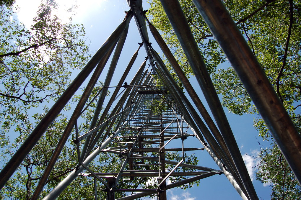 Eddy-Turm in Mongu - Sambia von unten gegen den heiteren Himmel fotografiert. Man sieht den gleichschenkligen dreieckeckigen Querschnitt des Gittergerüstes von unten, wie es sich nach oben fortsetzt. An der nach unten gerichteten Seite sieht man die Leiter und  in der Mitte eine Zwischenplattform von unten. Alles ist umringt von grüne Blätter tragenden Ästen vor hellblauem Himmel. Oben links schein die Sonne ins Bild.