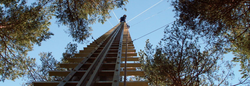 Blick von unten nach oben am John Buyers Turm entlang. An der Spitze des Turmes ist eine Person in Kletterausrüsung mit Helm vor hellblauem Himmel zu sehen. Von allen Seiten ragen die grünen Baumkronen von Nadelbäumen ins Bild. Aufnahme während des ADVEX-Experimentes in Norunda in Schweden. © W. Ziegler/ BGC