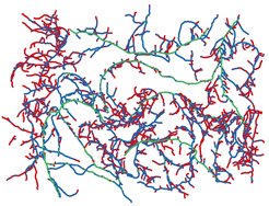 To analyse their characteristic traits, the roots are washed and spread out in dishes with water. Using various computer programmes, scientists can, e.g., analyse and classify specific root lengths and diameters and display them in different colours.