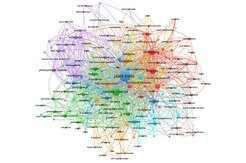 Cluster analysis of keywords from peer-reviewed publications using plant trait data via TRY.