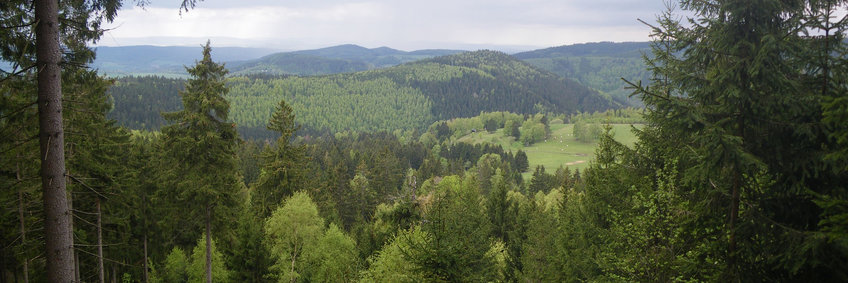 Hermannsberg im Thüringer Wald, Blick gen Nordwesten mit Laub- und Mischwald