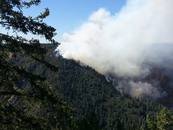 A large cloud of smoke stands over a wooded hillside.
