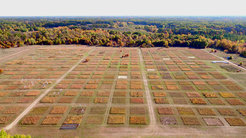 Luftaufnahme des BioDIV Experiments in Minnesota, USA, das im Rahmen der Studie neben dem Jena Experiment ebenfalls erforscht wurde.