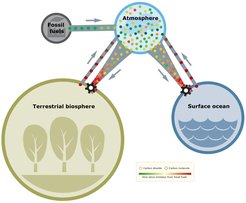 As carbon from fossil fuels is added to the atmosphere, the terrestrial biosphere and the surface ocean can only take up extra carbon according to their natural sequestration capacity. Therefore, carbon dioxide accumulates in the atmosphere and results in congestion of molecules in the network. Congestion also leads to a longer time of CO2 molecules in the atmosphere, which is depicted by the color of the dots in the graphic.
