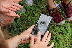 Grundscüler lernen die Flora Incognita App kennen.