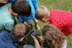 Alice Deggelmann erklärt den Kindern, wie die Flora Incognita App funktioniert.