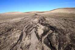 Erosion durch Landwirtschaft ist ein Hauptgrund für Bodendegradation
