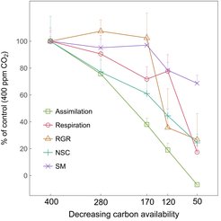Trade-offs between aboveground daytime net assimilation and night-time respiration, whole-tree relative growth rate, and weighted nonstructural carbohydrates (NSC) and secondary metabolites (SM) in Picea abies along a gradient of carbon availability, expressed as a percentage of control (400 ppm CO2 concentration).
