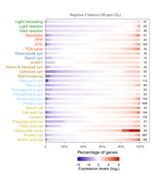 Transcriptional regulation of source and sink activities under negative C balance (50 ppm CO2). Changes in the gene expression patterns for current-year-young leaves, relative to control (positive C balance). See more details in Huang et al. (2021)