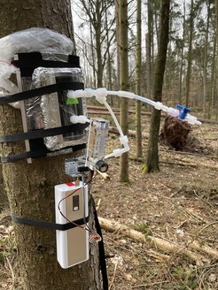 Several instruments, wrapped in foil and aluminum foil are strapped to the tree stem. A plastic tube sticks out of one of them, waiting to be attached to something else.