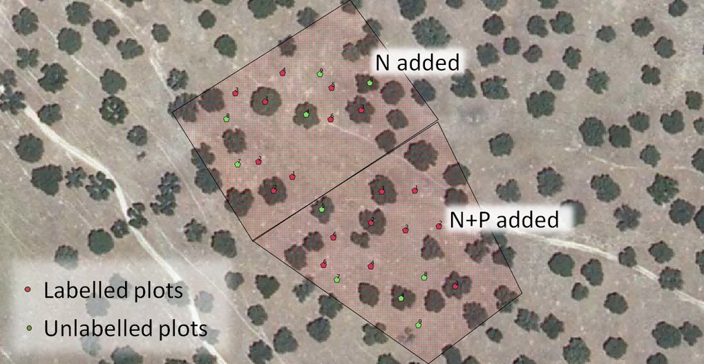 LFT: Long-term fate of N from fertilizer experiment