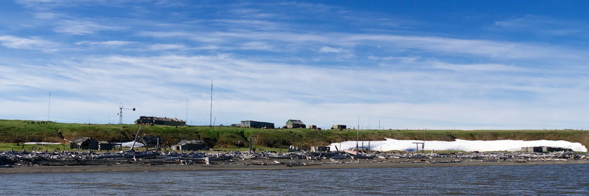 View of the Ambarchik station from the sea, several buildings and masts in the distance, green meadows, blue sky with white cirrus clouds, a larger amount of snow is still on the beach, there is also a lot of gray driftwood with a few wooden huts between them
