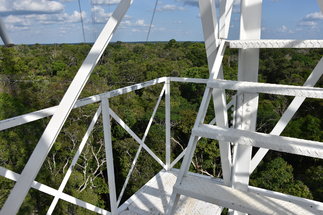 Picture on a platform of the ATTO tower, in the foreground white rod, in the background the view over the rainforest under bright sky with fair weather clouds.