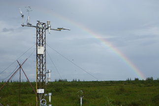 In the foreground on the left is a mast about 6 m high with a large number of sensors for meteorological measurements. In the background there is a green landscape which is characterized by "tussocks" (huge tufts of grass), in between there are a few bushes and smaller trees. In the background you can see a gray sky on which half a rainbow shines. In the lower left of the picture the wooden footbridge and wooden poles lining the path-.
Photo:© Martin Hertel/BGC 