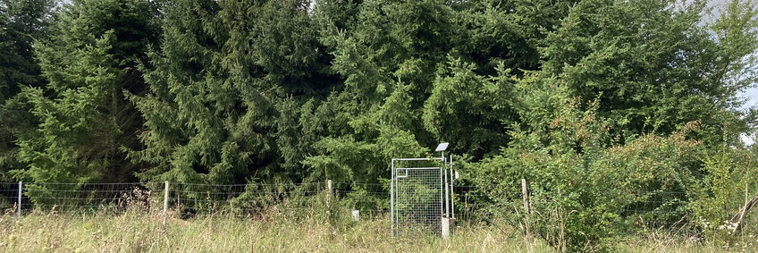 View of a small weather station that is powered by a small solar panel. In the background about 20 high Douglas fir, which belong to the experiment.