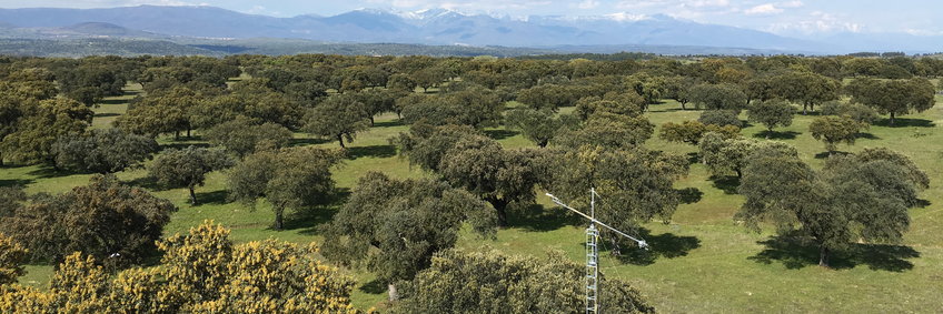 View from the southern Eddy tower of the MANIP experiment over the Dehesa of Spain towards the north. Distinct cork and holm oak groves where cows graze and Iberian pigs gorge themselves on acorns. In the front part of the picture a small mast with a swiveling radiation boom, which alternately measures over tree and grassland. In the background the mountains