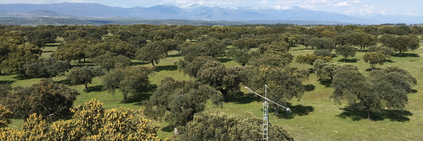 © N. Hempel/ BGC View from the southern Eddy tower of the MANIP experiment over the Dehesa of Spain towards the north. Distinct cork and holm oak groves where cows graze and Iberian pigs gorge themselves on acorns. In the front part of the picture a small mast with a swiveling radiation boom, which alternately measures over tree and grassland. In the background the mountains