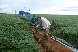 Max Planck Director Sue Trumbore setting up the Eddy- Covarinz measurement station in the soybean field in Tanguro (Brazil), 2015.