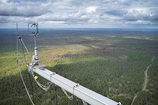 View from the 300m high ZOTTO tower from a great height over the Russian Taiga to the horizon. In the foreground from the lower right a boom arm with 3D wind anemometer and lightning rod is visible. A very cloudy day with low clouds. In the distance you can see showers.
© S. Schmidt/BGC
